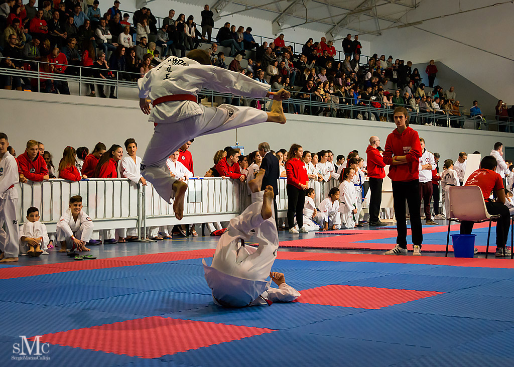 COPA SEUL, 2017  (38).JPG